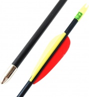 Sip-laminatovy-30�-Poe-Lang